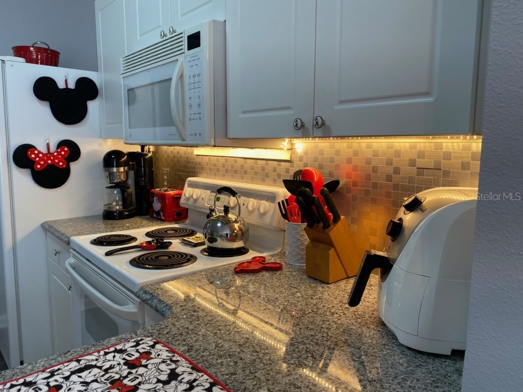 8110 Princess Palm Lane Kissimmee FL 34747 O6303083 image13