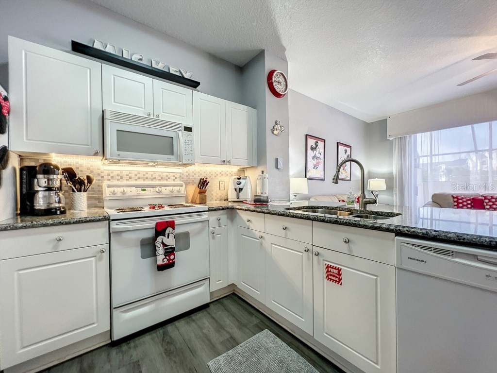 8110 Princess Palm Lane Kissimmee FL 34747 O6303083 image14