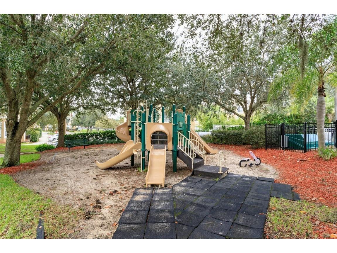 8110 Princess Palm Lane Kissimmee FL 34747 O6303083 image51