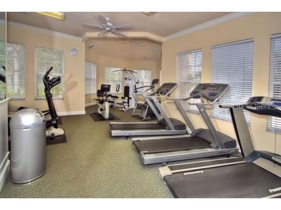 8110 Princess Palm Lane Kissimmee FL 34747 O6303083 image58