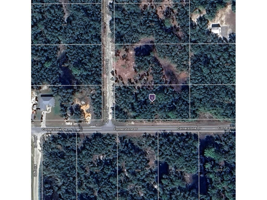 8110 Renova Drive Webster FL 33597 G5094724 image1