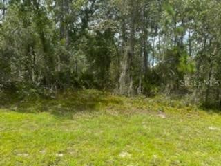 8111 Nordica Rd Weeki Wachee FL 34613 T3399951 image1