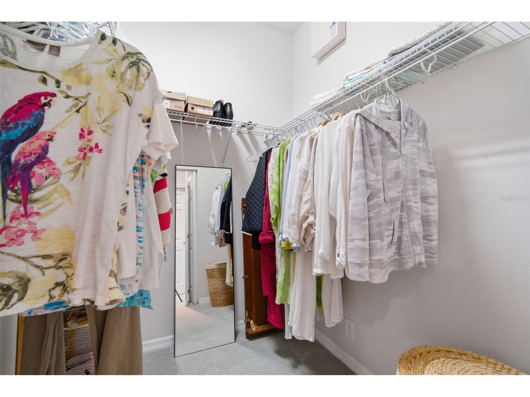 8111 Pine Crest Street Seminole FL 33777 TB8507623 image24