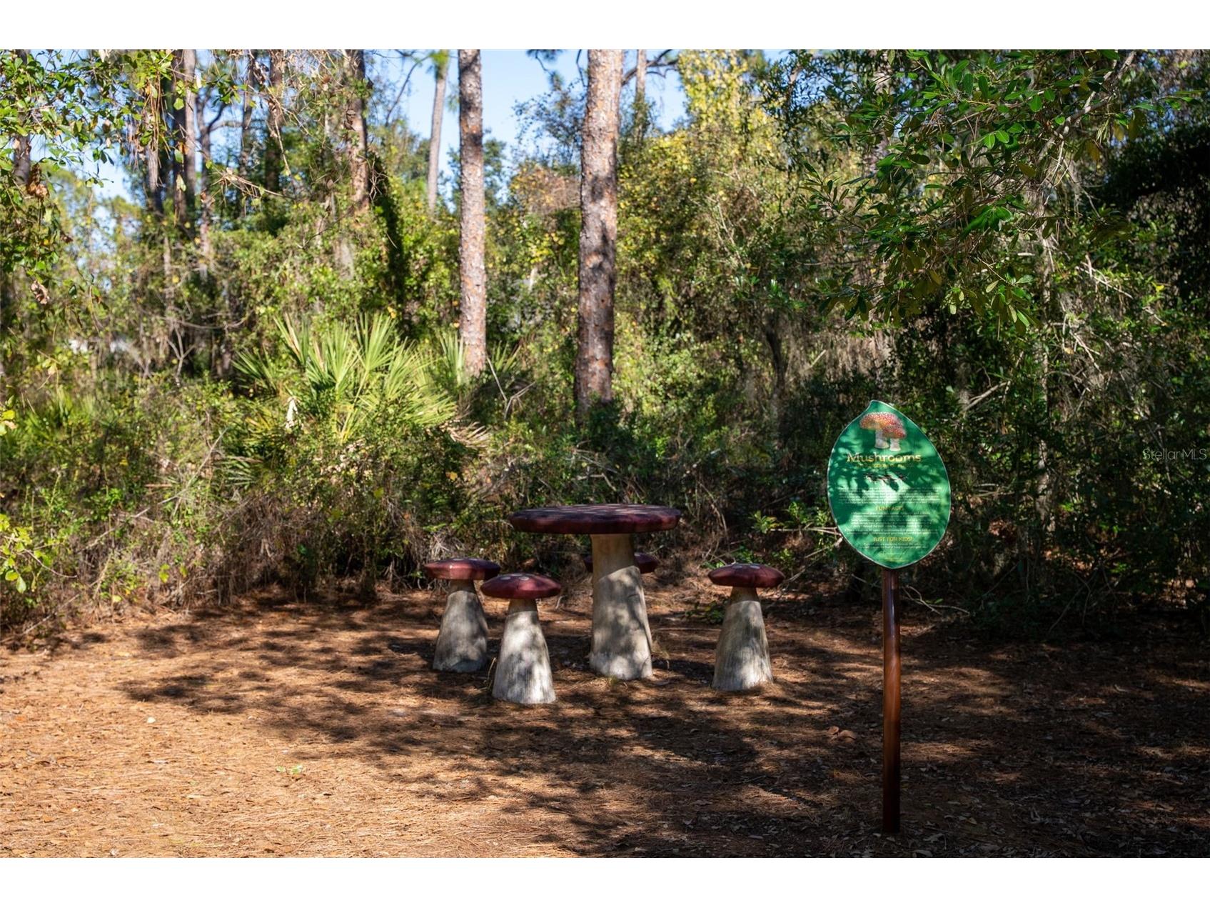 8111 Santa Rosa Court Sarasota FL 34243 A4679494 image79