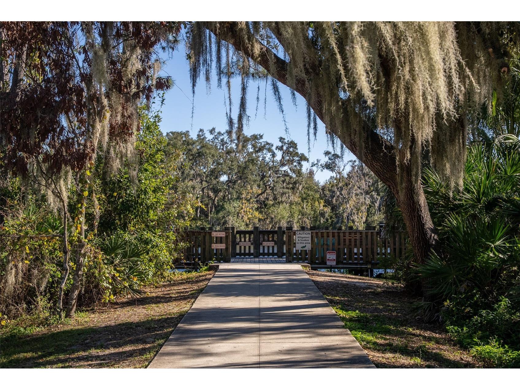 8111 Santa Rosa Court Sarasota FL 34243 A4679494 image94