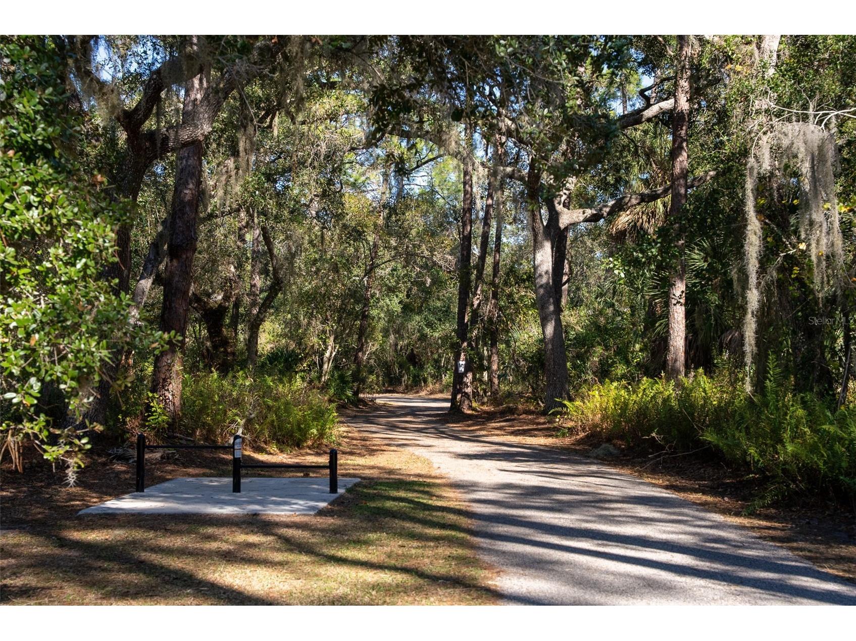 8111 Santa Rosa Court Sarasota FL 34243 A4679494 image95