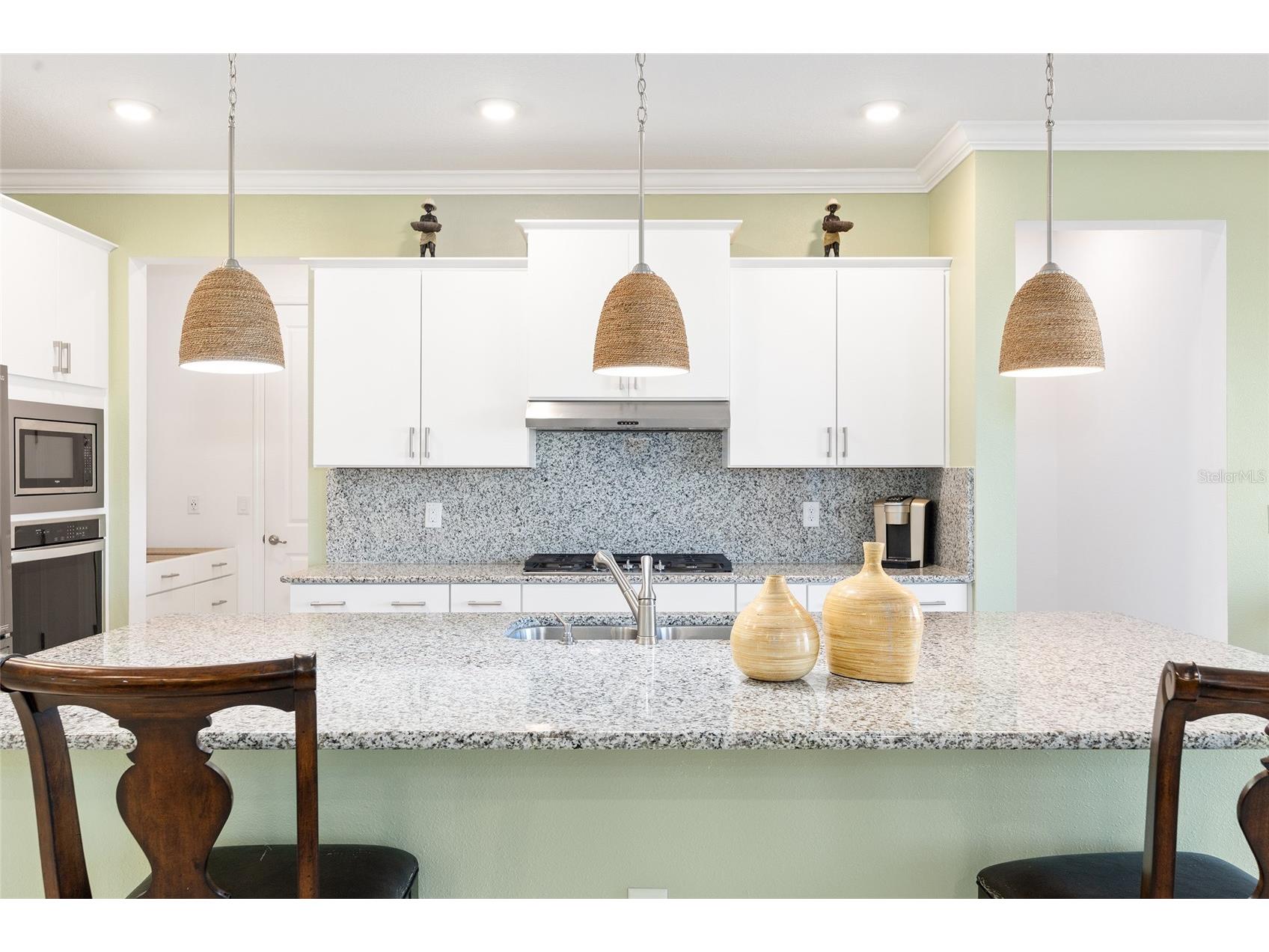 8111 SW 95th Court Ocala FL 34481 OM716765 image15