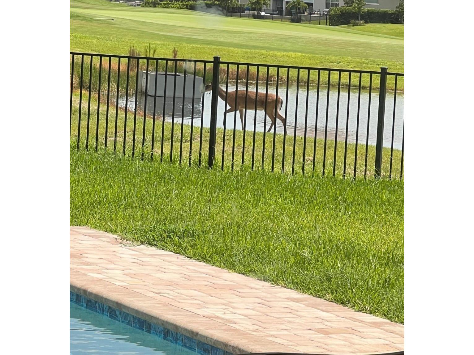 8112 Cleobury Drive Orlando FL 32832 O6355042 image18