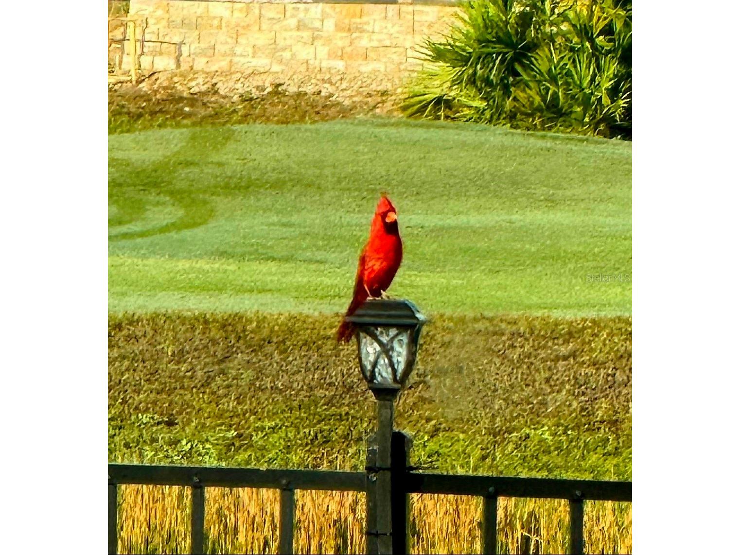 8112 Cleobury Drive Orlando FL 32832 O6355042 image83