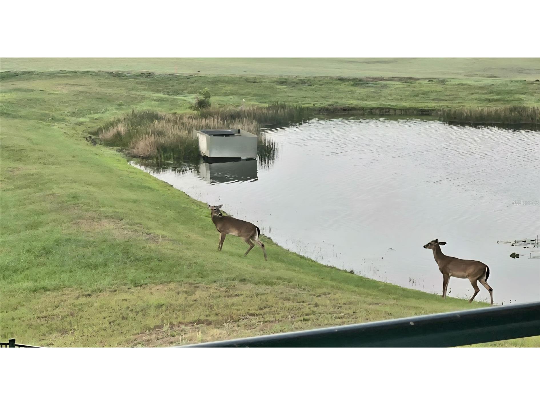 8112 Cleobury Drive Orlando FL 32832 O6355042 image84