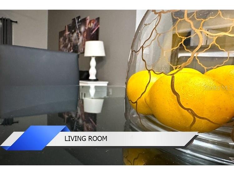 8112 Poinciana Boulevard #1502 Orlando FL 32821 O6306326 image3