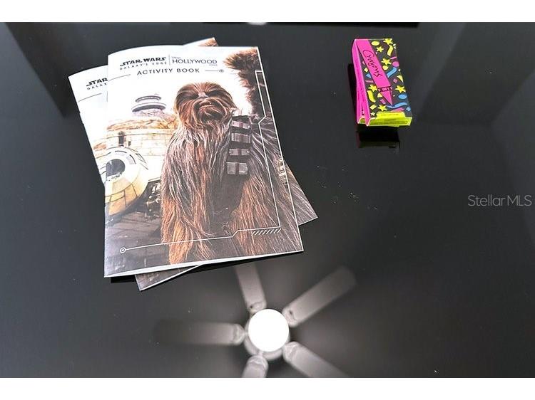 8112 Poinciana Boulevard #1502 Orlando FL 32821 O6306326 image8