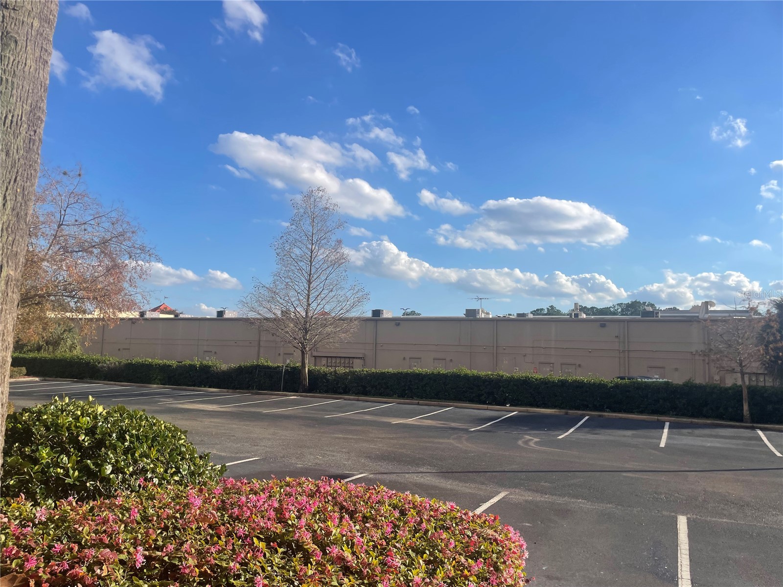 8112 Poinciana Boulevard #1509 Orlando FL 32821 S5141921 image5