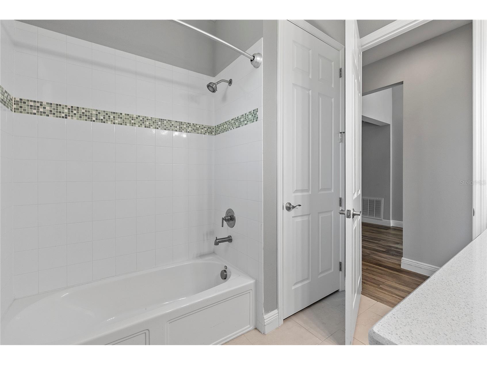 8113 Bridgeport Bay Circle Mount Dora FL 32757 O6419657 image20