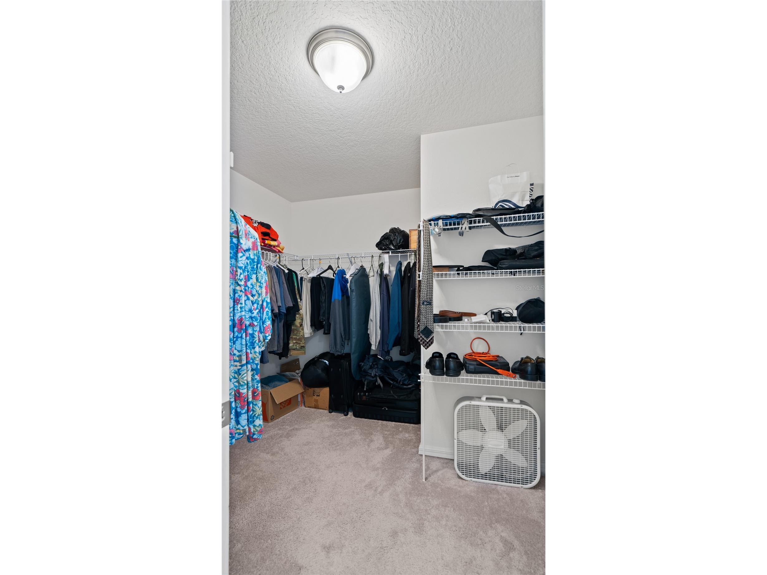 8113 Red Stopper Lane Winter Garden FL 34787 O6386525 image20