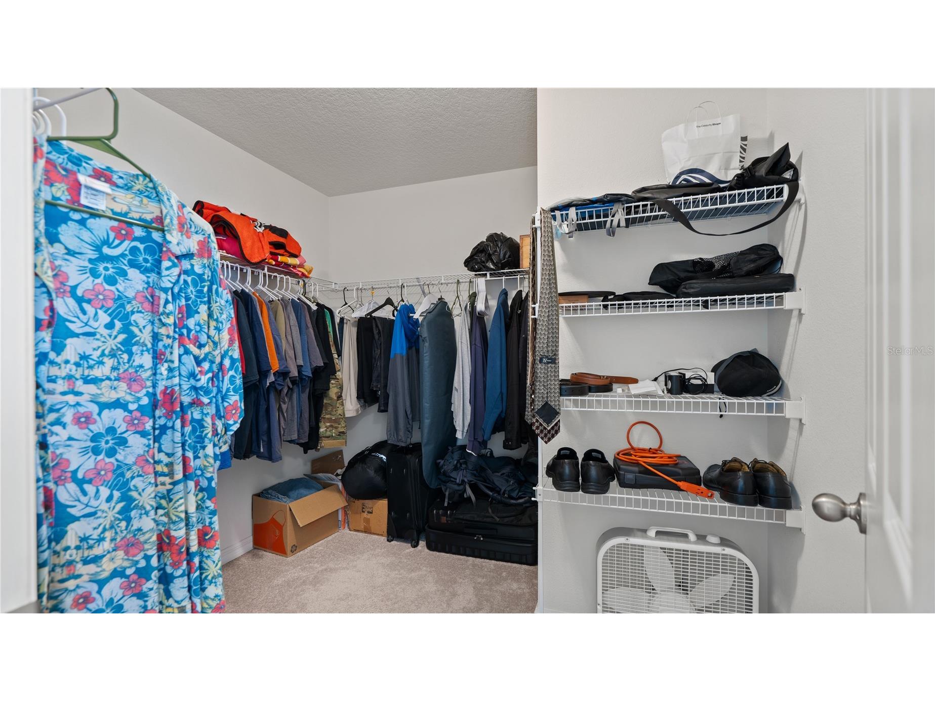 8113 Red Stopper Lane Winter Garden FL 34787 O6386525 image21