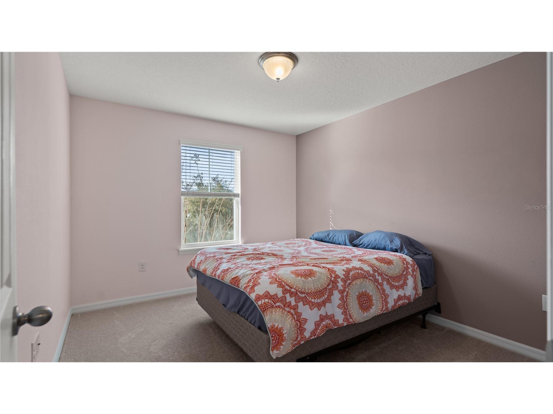 8113 Red Stopper Lane Winter Garden FL 34787 O6386525 image27