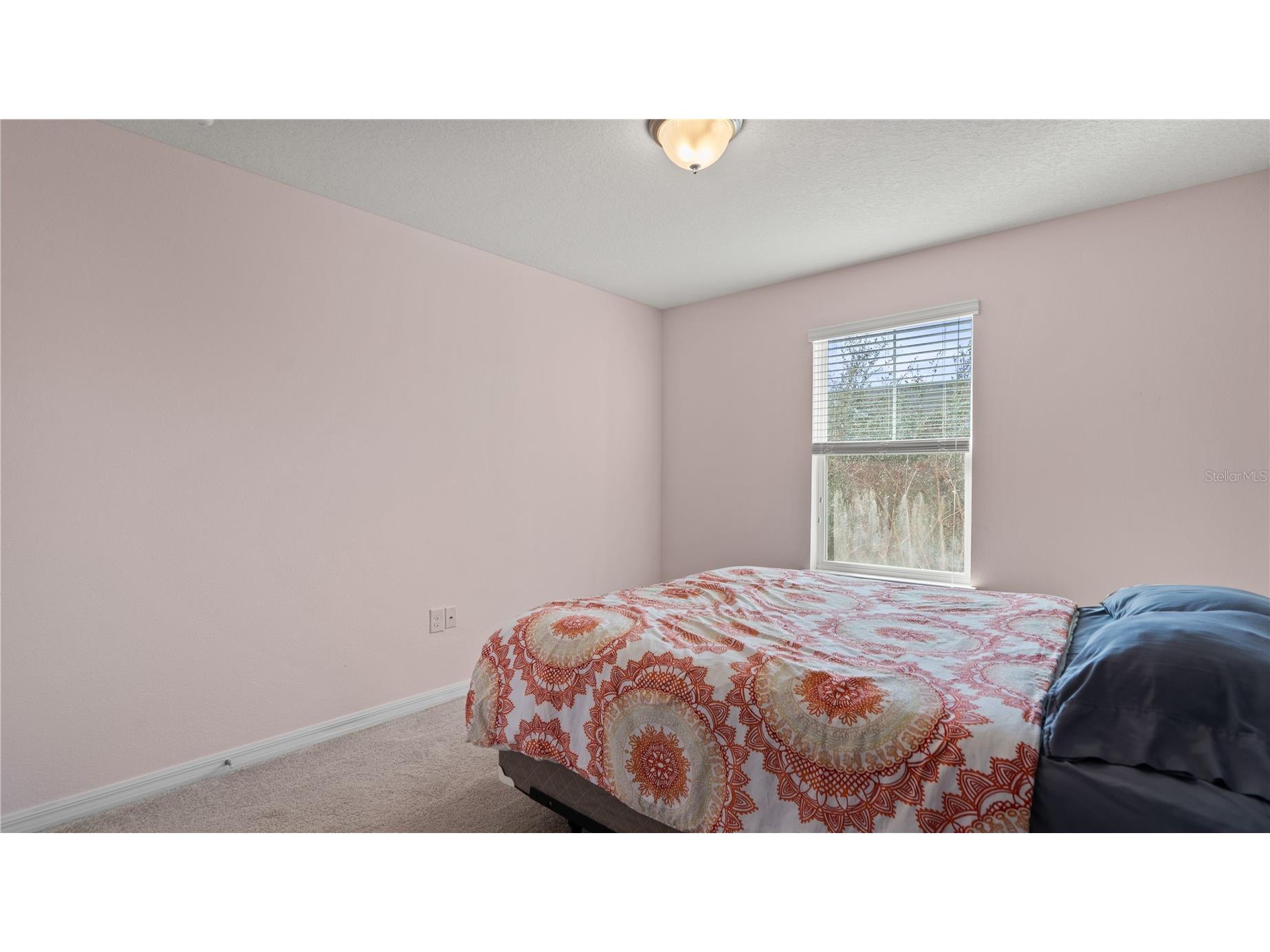 8113 Red Stopper Lane Winter Garden FL 34787 O6386525 image31