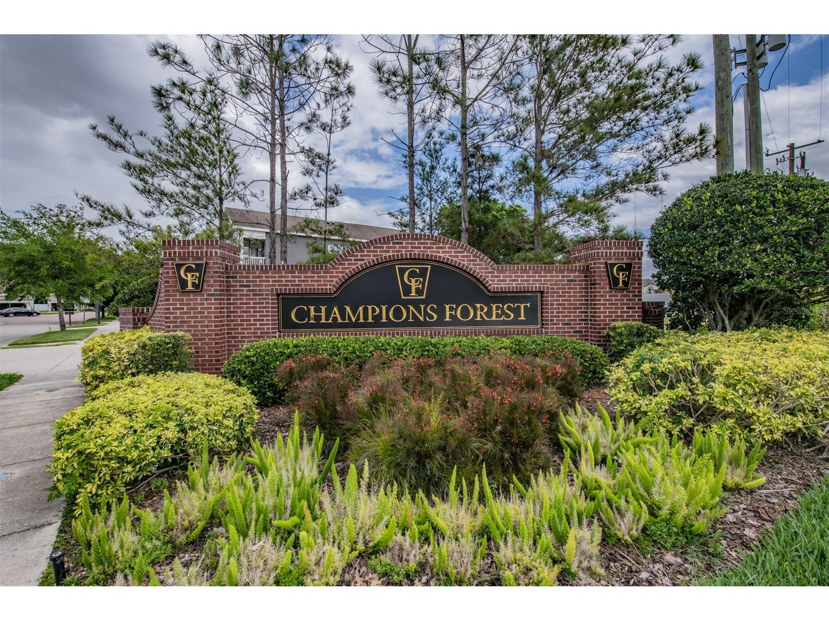 8115 Champions Forest Way Tampa FL 33635 TB8494727 image3