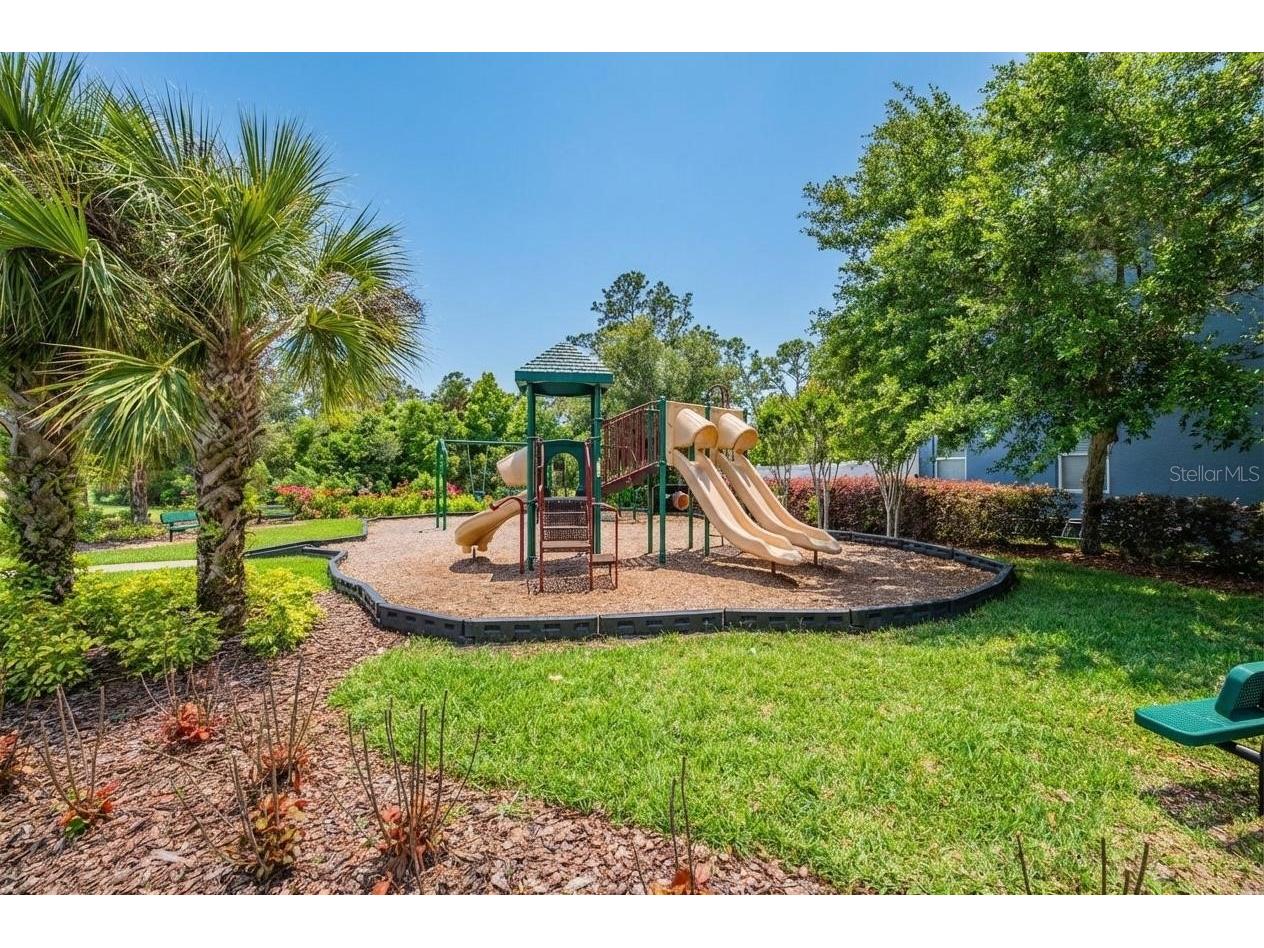 8115 Champions Forest Way Tampa FL 33635 TB8494727 image49