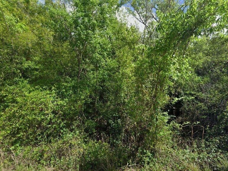 8115 SW Horse Creek Road Arcadia FL 34266 C7521036 image2