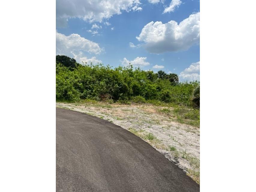 8116 Ace Court Labelle FL 33935 U8202188 image1