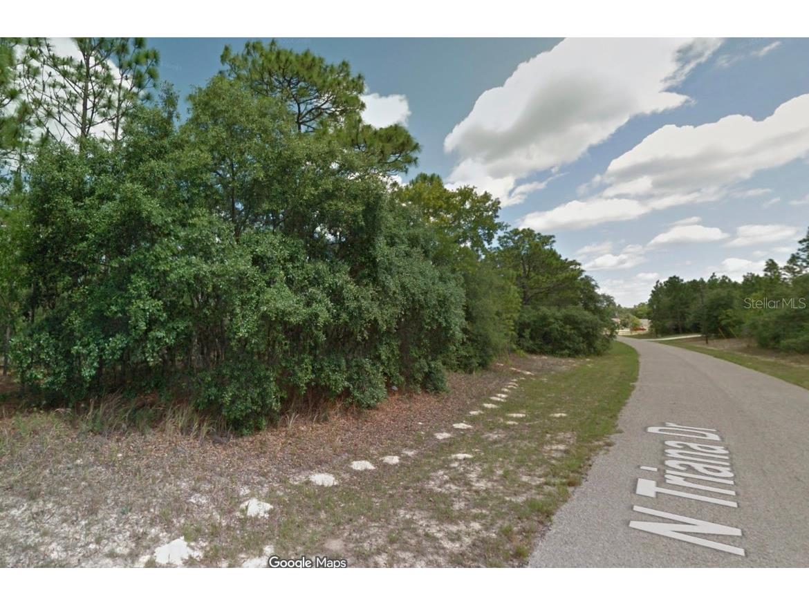 8116 N Triana Drive Citrus Springs FL 34434 OM714137 image10