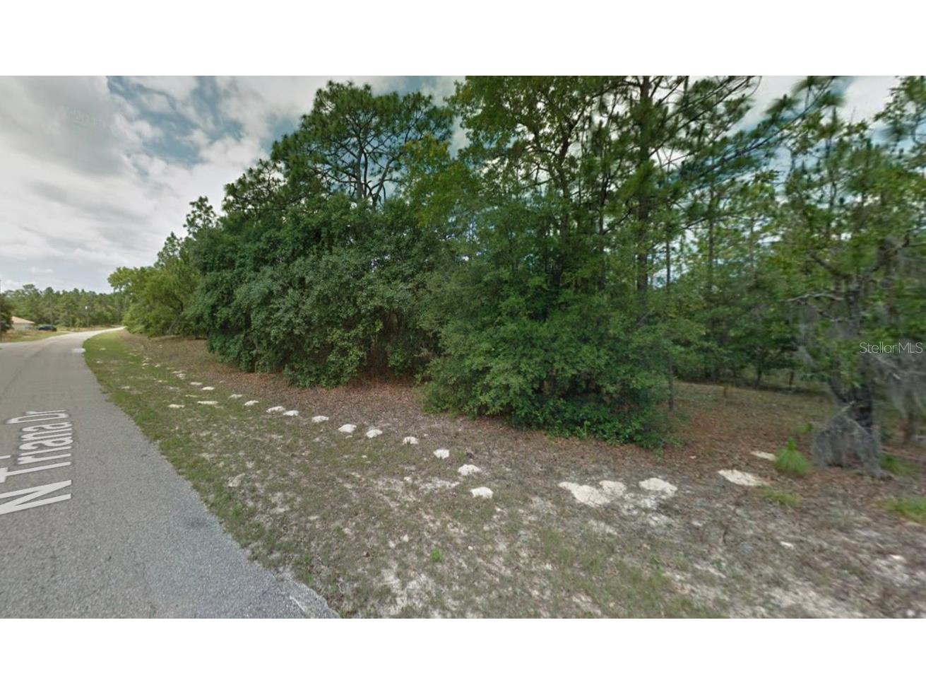 8116 N Triana Drive Citrus Springs FL 34434 OM714137 image2