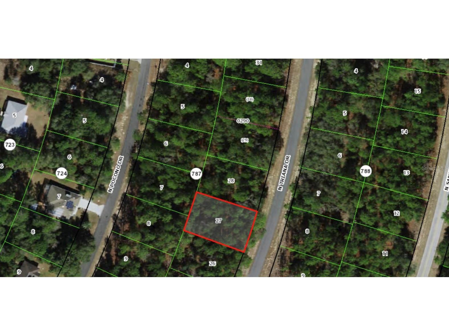 8116 N Triana Drive Citrus Springs FL 34434 OM714137 image3