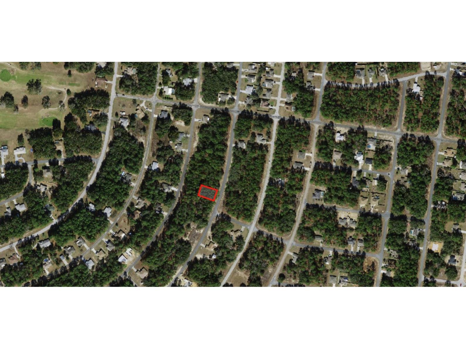 8116 N Triana Drive Citrus Springs FL 34434 OM714137 image4