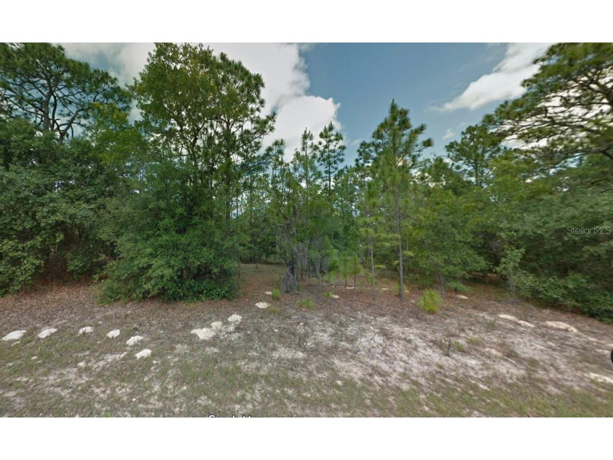 8116 N Triana Drive Citrus Springs FL 34434 OM714137 image5