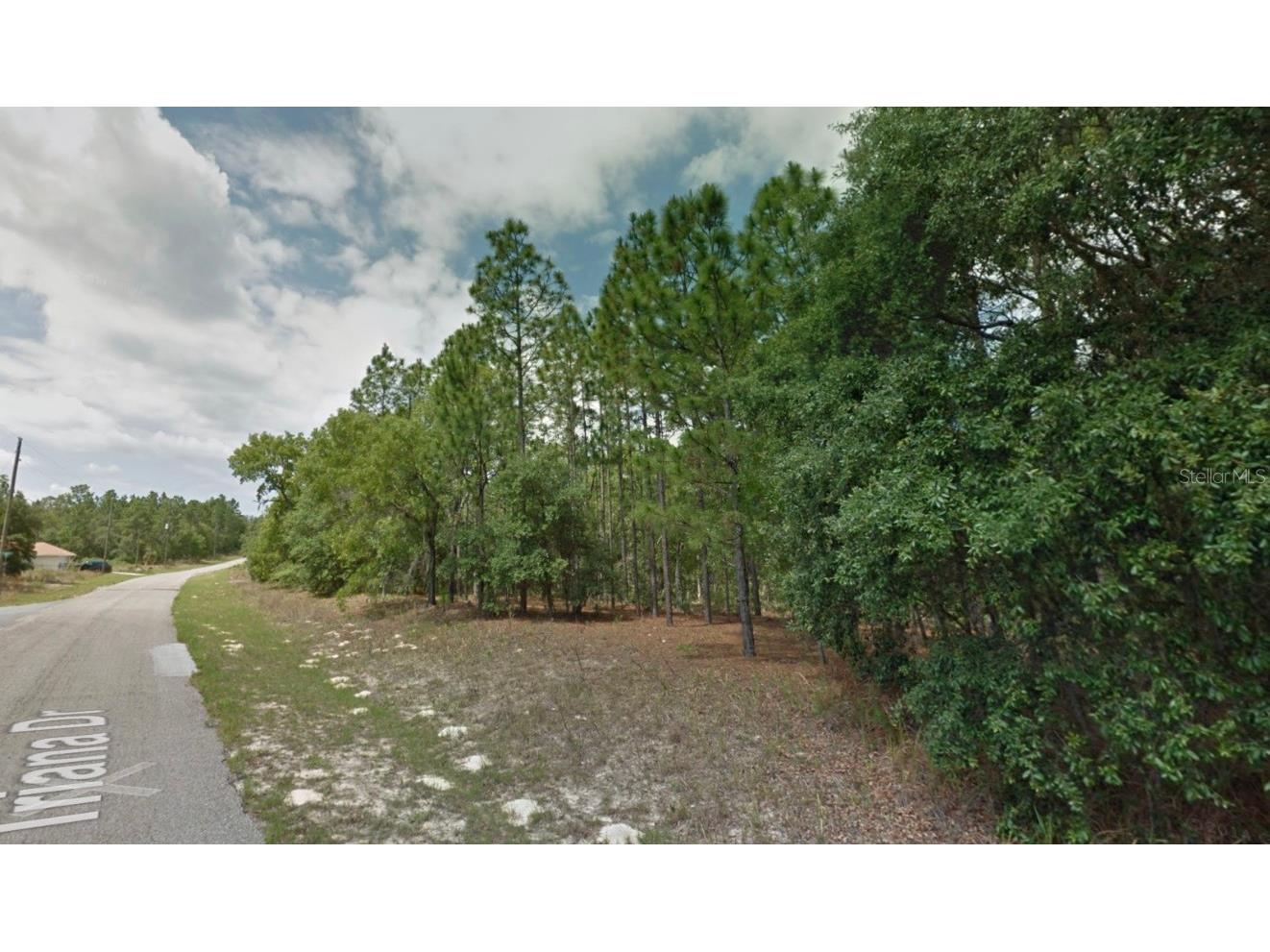 8116 N Triana Drive Citrus Springs FL 34434 OM714137 image6