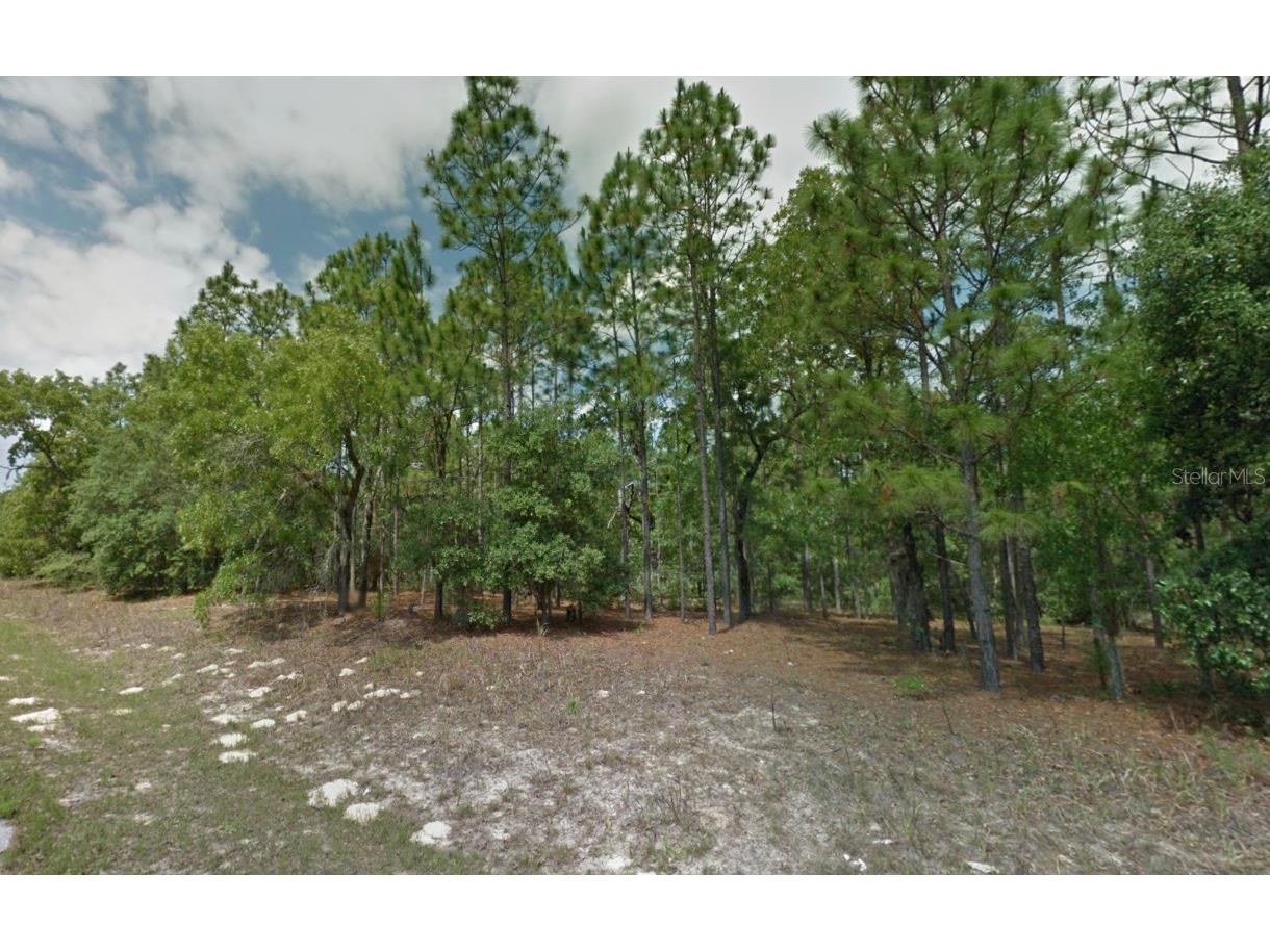 8116 N Triana Drive Citrus Springs FL 34434 OM714137 image7