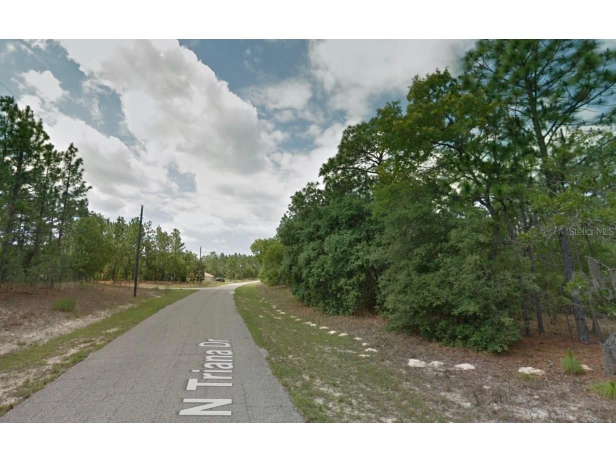 8116 N Triana Drive Citrus Springs FL 34434 OM714137 image8