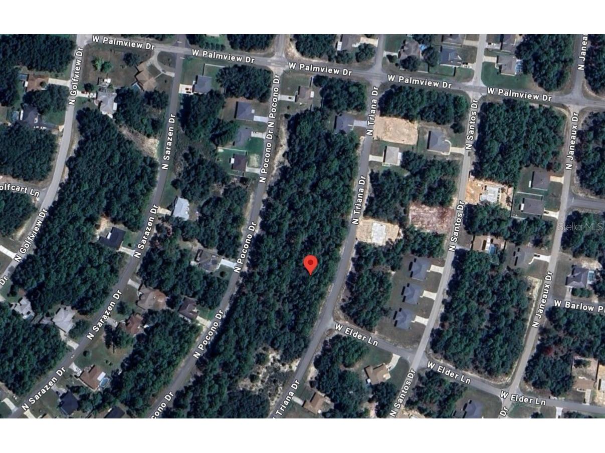 8116 N Triana Drive Citrus Springs FL 34434 OM714137 image9