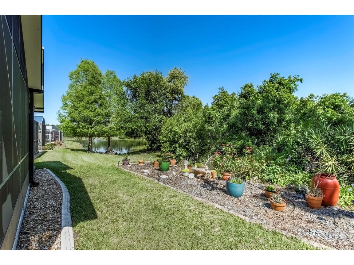 8116 Sanguinelli Road Land O Lakes FL 34637 TB8374700 image24