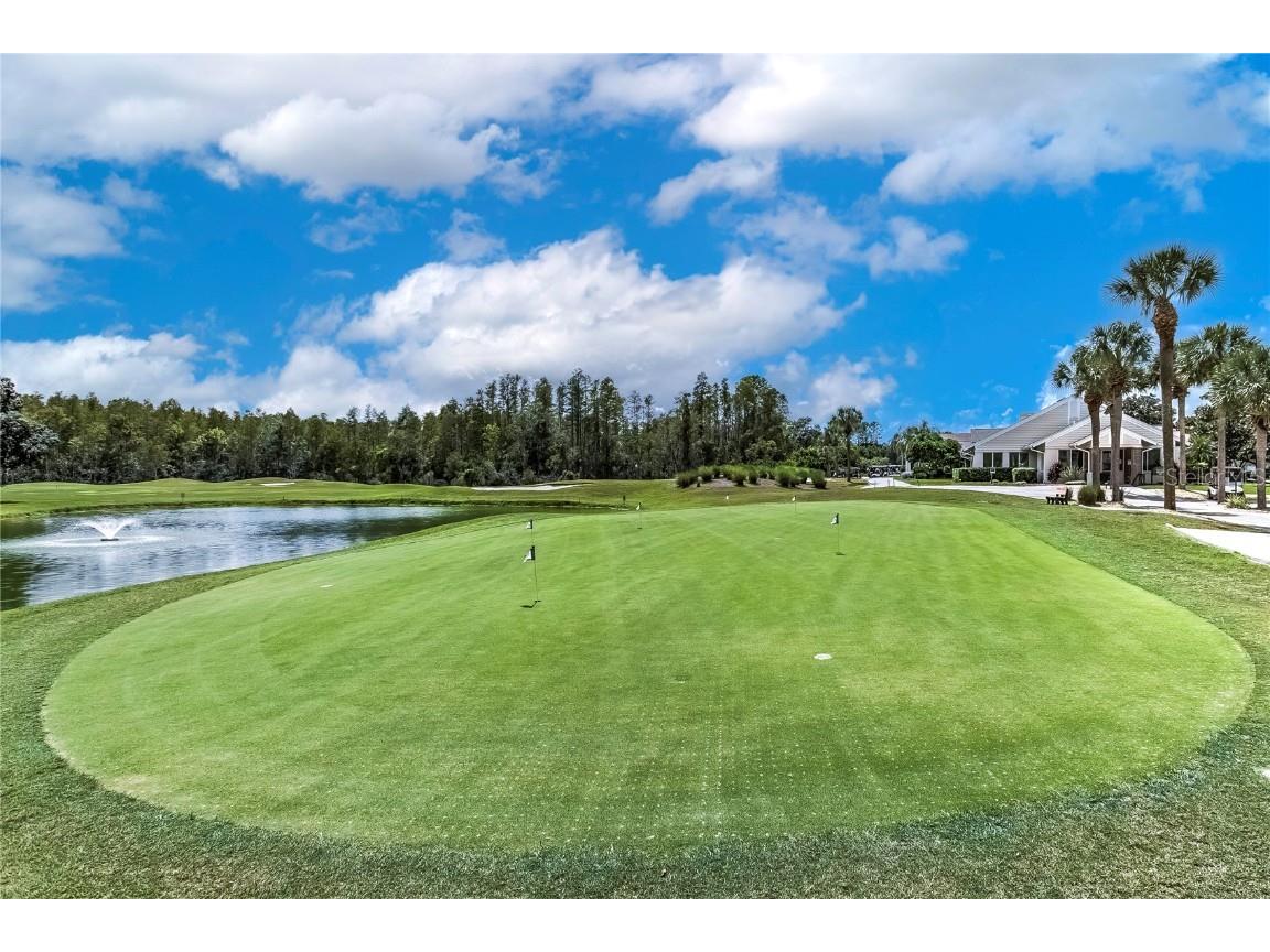 8116 Sanguinelli Road Land O Lakes FL 34637 TB8374700 image28