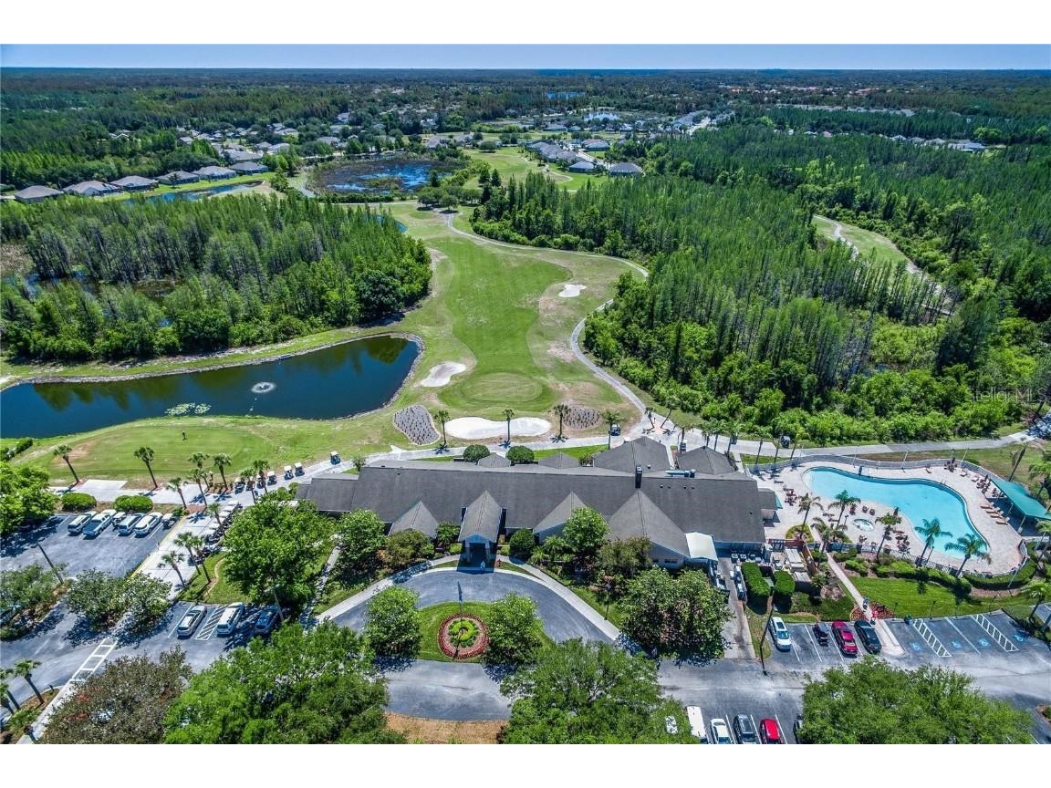 8116 Sanguinelli Road Land O Lakes FL 34637 TB8374700 image3