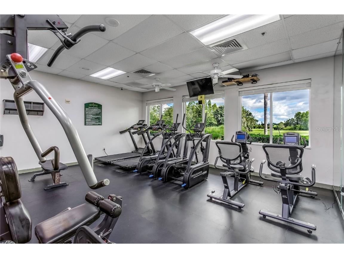 8116 Sanguinelli Road Land O Lakes FL 34637 TB8374700 image33