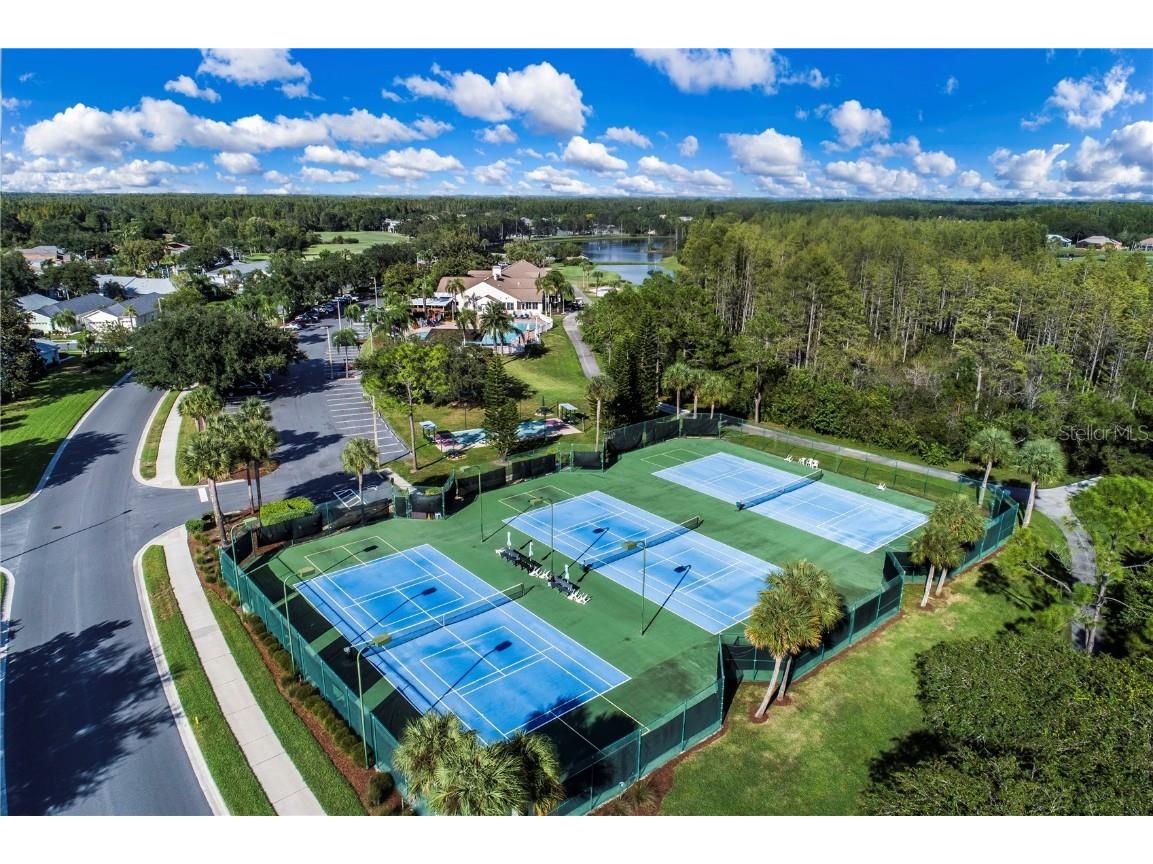 8116 Sanguinelli Road Land O Lakes FL 34637 TB8374700 image34