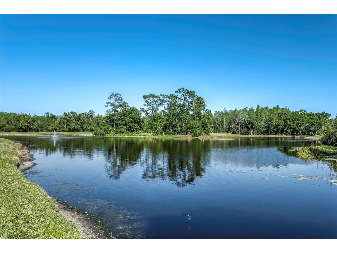 8116 Sanguinelli Road Land O Lakes FL 34637 TB8374700 image4