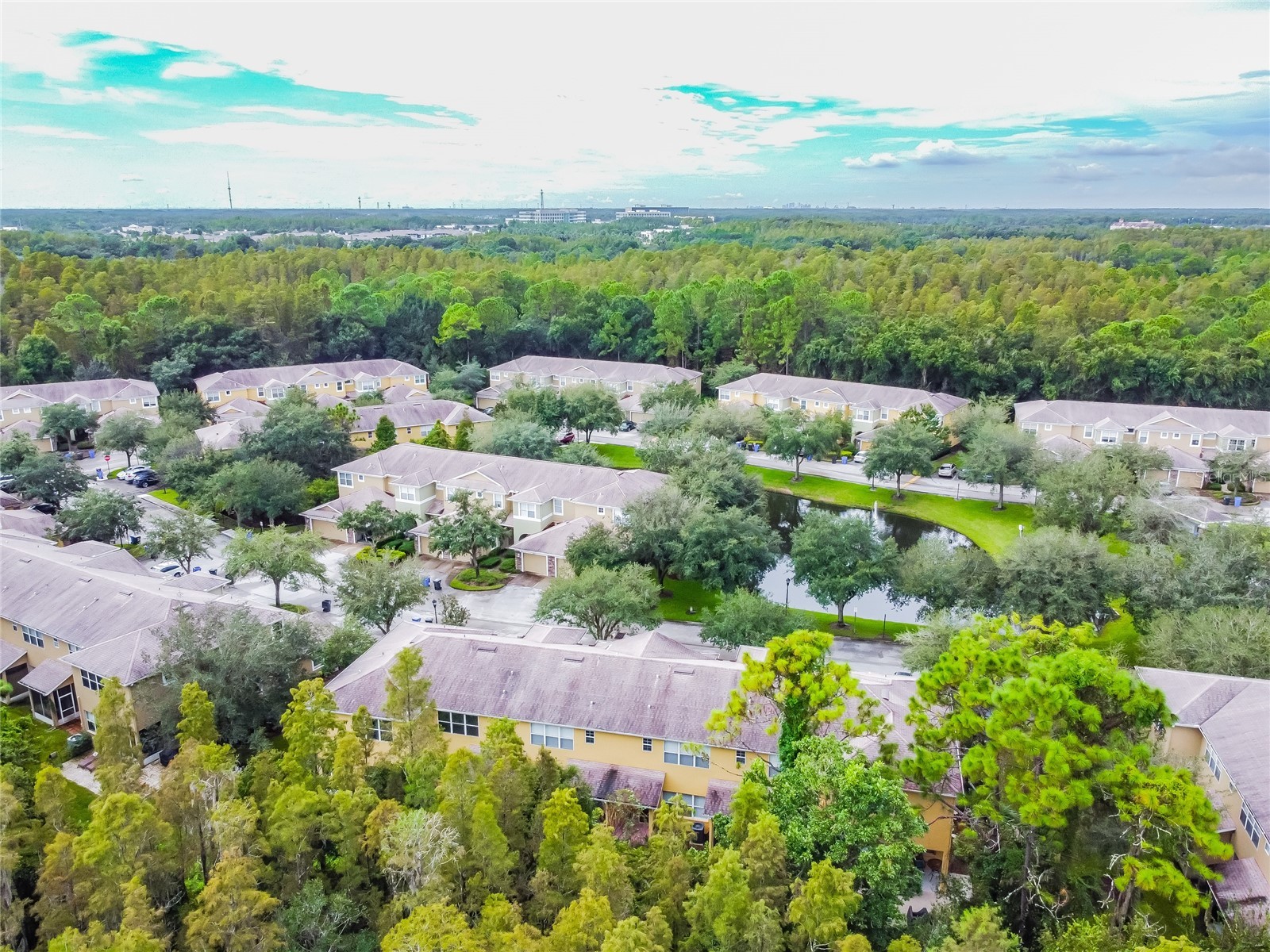 8116 Stone Path Way Tampa FL 33647 TB8514101 image12