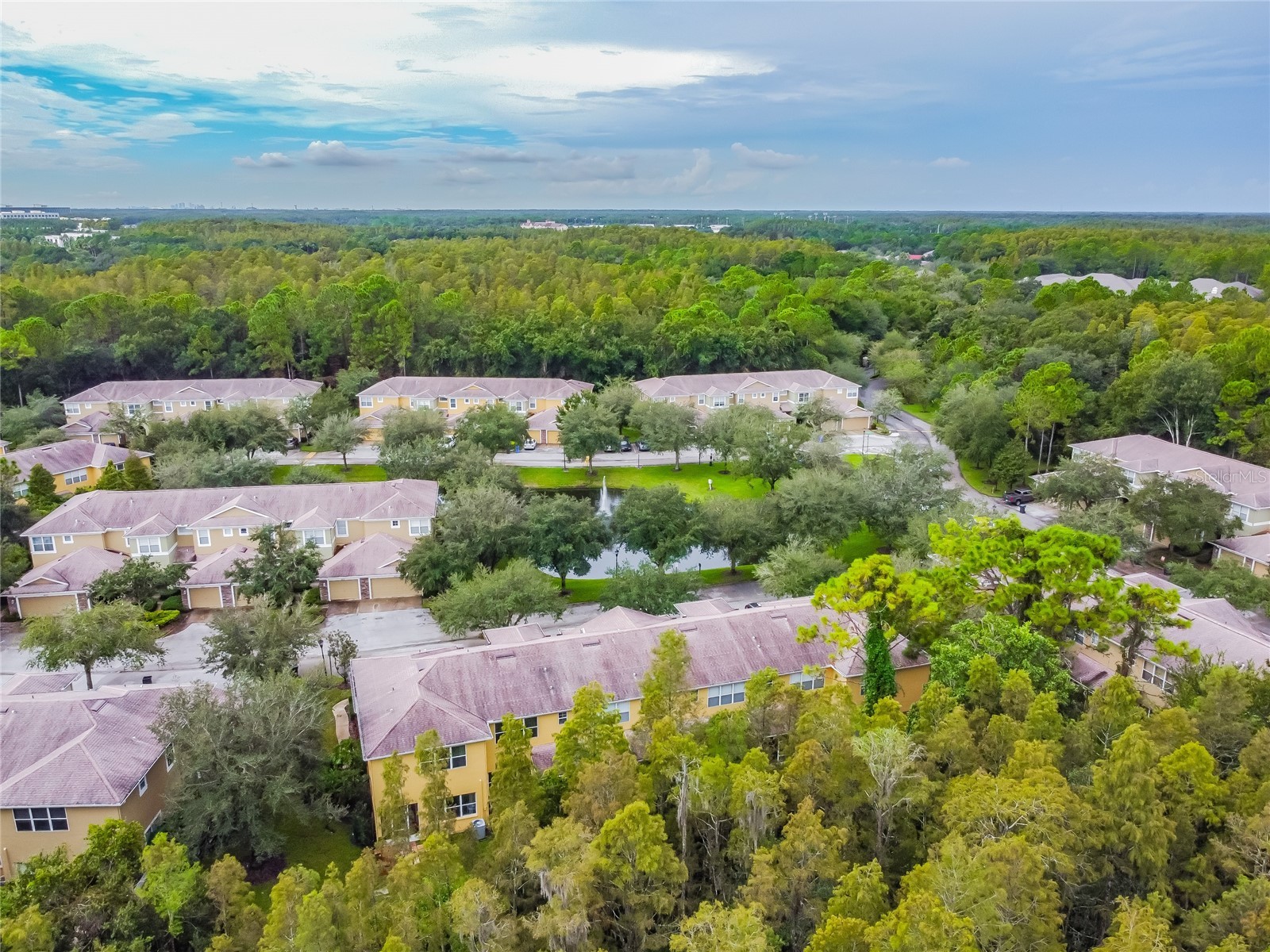 8116 Stone Path Way Tampa FL 33647 TB8514101 image13