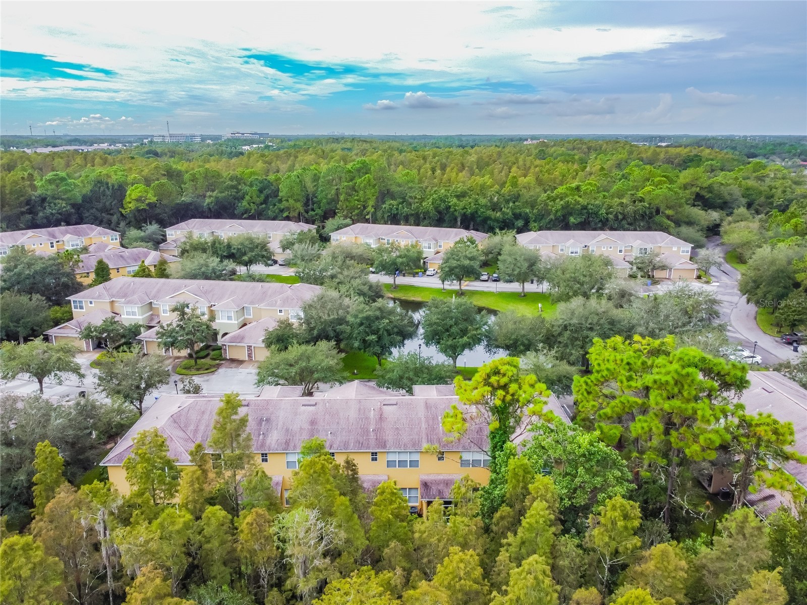 8116 Stone Path Way Tampa FL 33647 TB8514101 image15