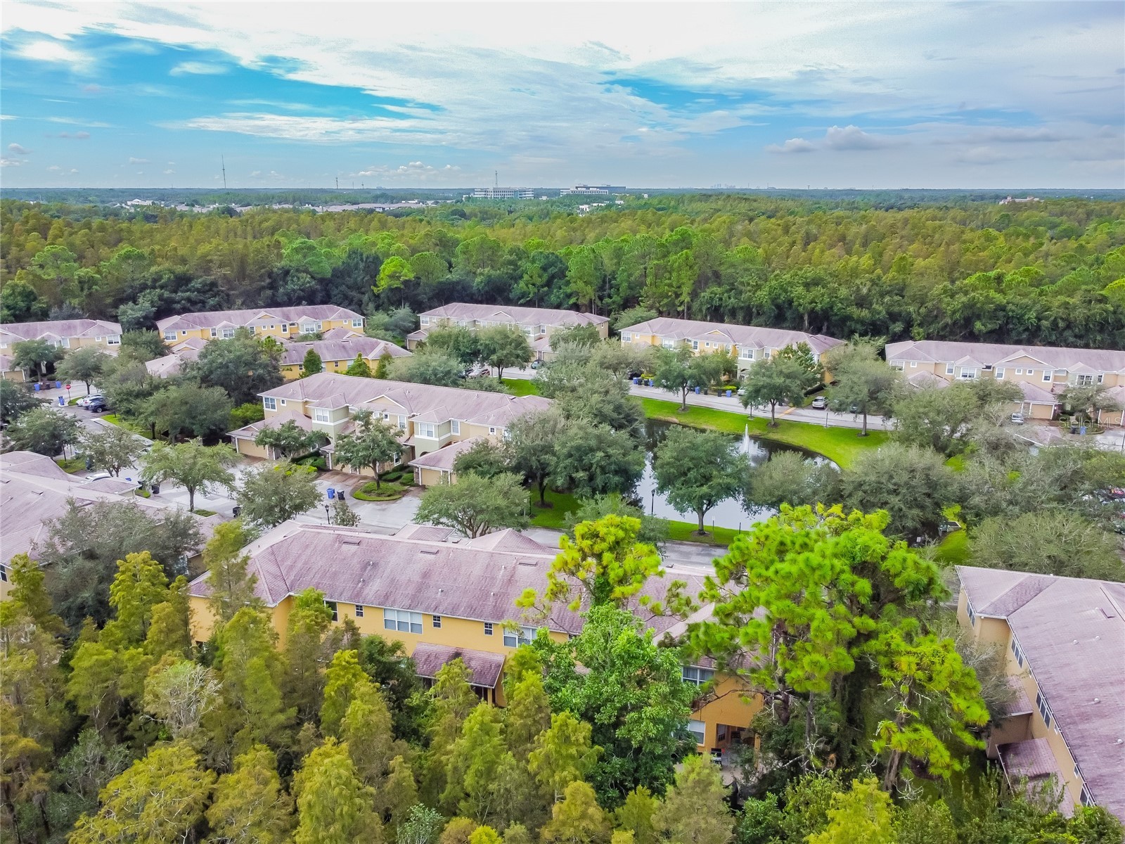 8116 Stone Path Way Tampa FL 33647 TB8514101 image16