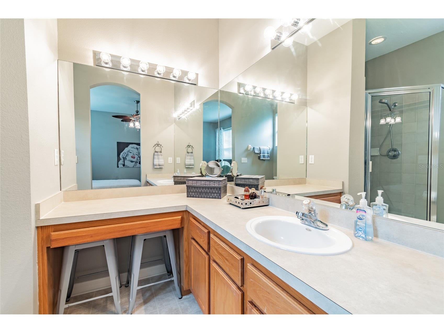 8116 Stone Path Way Tampa FL 33647 TB8514101 image24