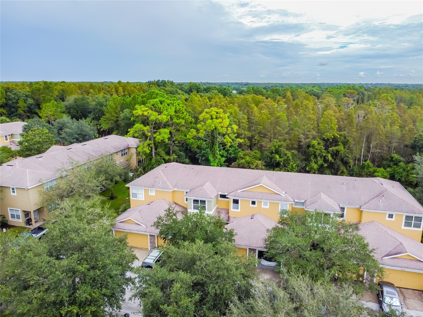 8116 Stone Path Way Tampa FL 33647 TB8514101 image5