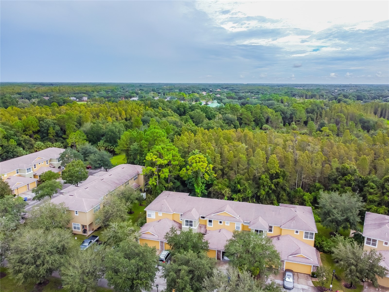 8116 Stone Path Way Tampa FL 33647 TB8514101 image6