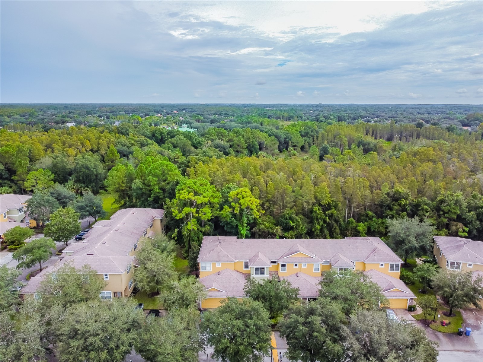 8116 Stone Path Way Tampa FL 33647 TB8514101 image7