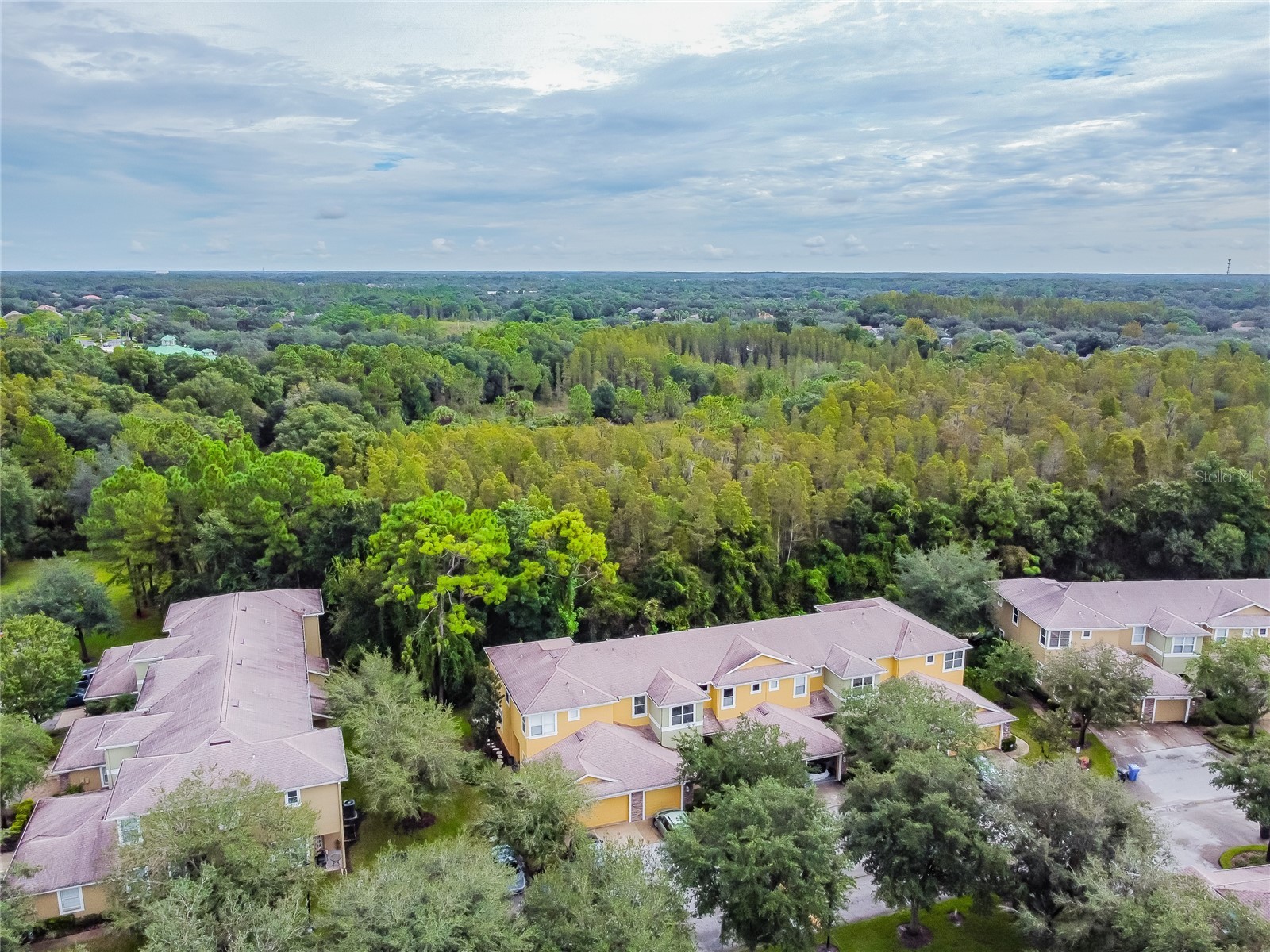 8116 Stone Path Way Tampa FL 33647 TB8514101 image8